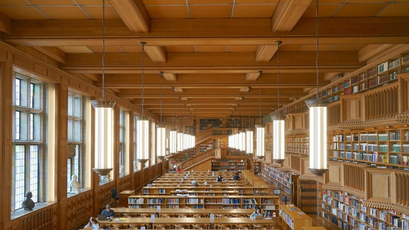 A timber treasure trove at Leuven University Library