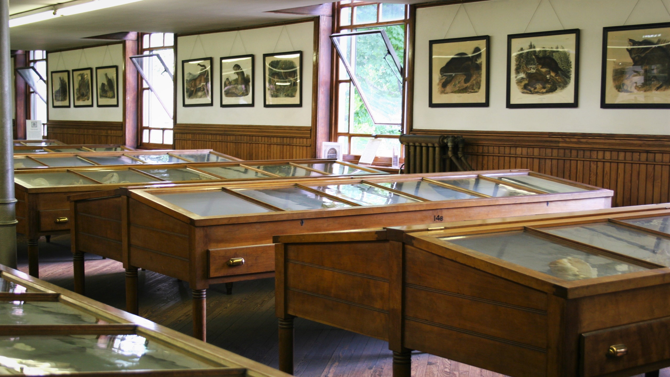 William Wagner Free Institute for Science. Art Painting Wood Architecture Building Indoors Museum Jewelry Store Shop...
