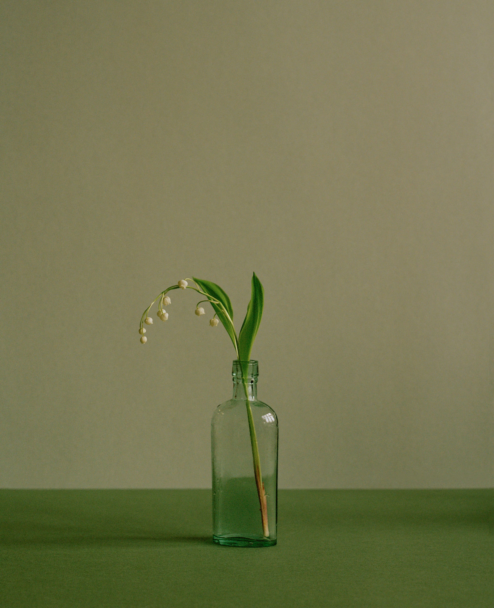 Shot in his Covent Garden office amid myriad books objets and artworks Paul Smiths plant of choice is a delicate lily of...