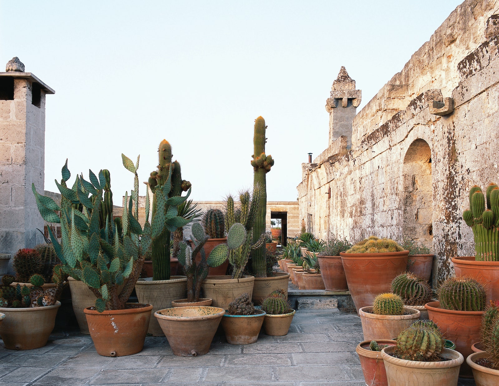 A horticultural habit flourishes within the walls of this convent